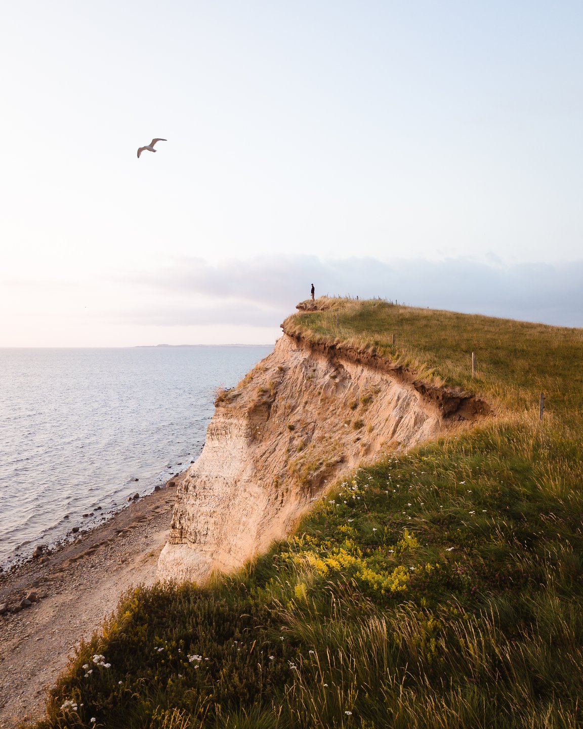 La Penisola Dello Jutland VisitDenmark   Ertebølle Limfjorden Denmark 2 ©Jakob Vingtoft 